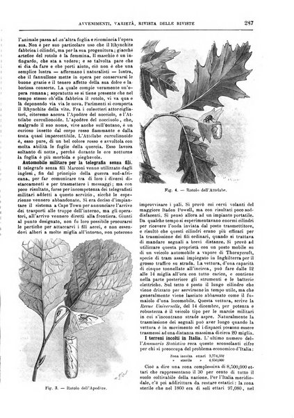 Natura ed arte rivista illustrata quindicinale italiana e straniera di scienze, lettere ed arti