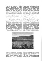 giornale/TO00189526/1901-1902/unico/00000342
