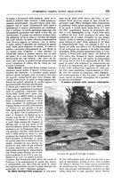 giornale/TO00189526/1901-1902/unico/00000395