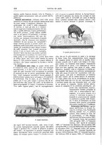 giornale/TO00189526/1901-1902/unico/00000466