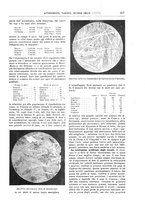 giornale/TO00189526/1901-1902/unico/00000541
