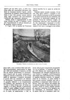 giornale/TO00189526/1901-1902/unico/00000561