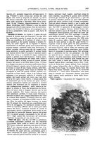 giornale/TO00189526/1901-1902/unico/00000617