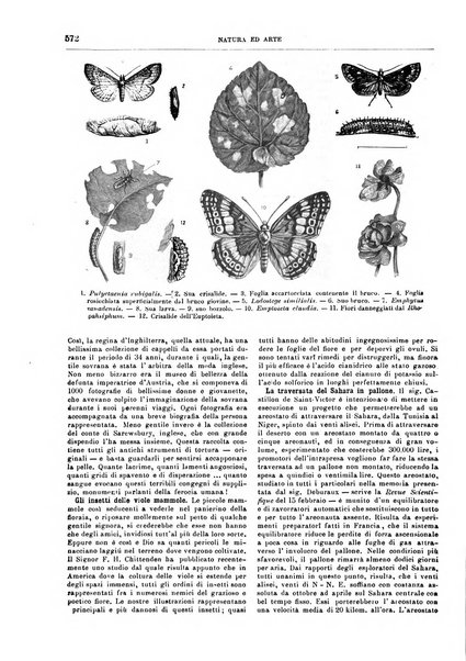 Natura ed arte rivista illustrata quindicinale italiana e straniera di scienze, lettere ed arti