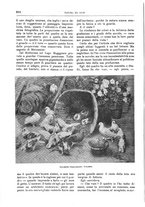 giornale/TO00189526/1901-1902/unico/00000634