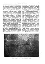 giornale/TO00189526/1901-1902/unico/00000715