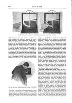 giornale/TO00189526/1901-1902/unico/00000766