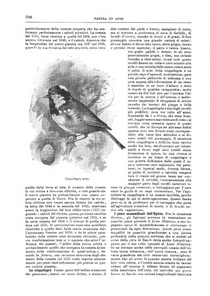 Natura ed arte rivista illustrata quindicinale italiana e straniera di scienze, lettere ed arti