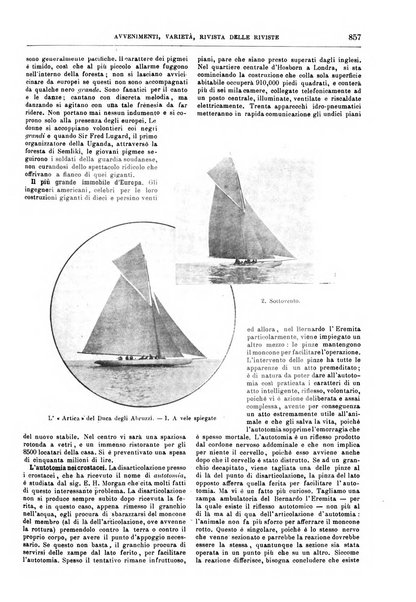 Natura ed arte rivista illustrata quindicinale italiana e straniera di scienze, lettere ed arti