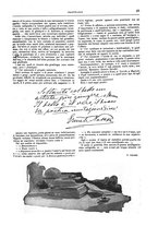 giornale/TO00189526/1901-1902/unico/00001025