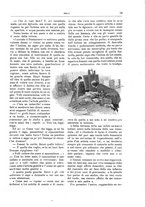 giornale/TO00189526/1901/unico/00000033