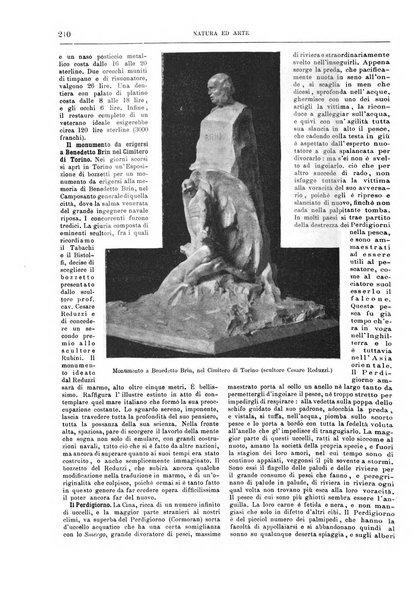 Natura ed arte rivista illustrata quindicinale italiana e straniera di scienze, lettere ed arti