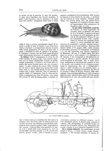 Natura ed arte rivista illustrata quindicinale italiana e straniera di scienze, lettere ed arti