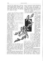 giornale/TO00189526/1901/unico/00000296