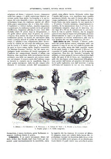 Natura ed arte rivista illustrata quindicinale italiana e straniera di scienze, lettere ed arti