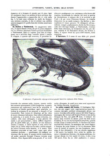 Natura ed arte rivista illustrata quindicinale italiana e straniera di scienze, lettere ed arti