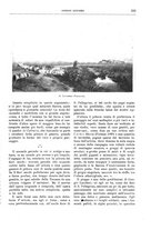 giornale/TO00189526/1901/unico/00000337