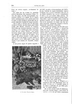 giornale/TO00189526/1901/unico/00000340