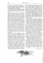 giornale/TO00189526/1901/unico/00000384