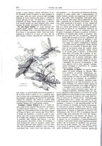 giornale/TO00189526/1901/unico/00000402