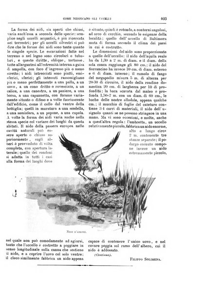 Natura ed arte rivista illustrata quindicinale italiana e straniera di scienze, lettere ed arti