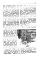 giornale/TO00189526/1901/unico/00000511