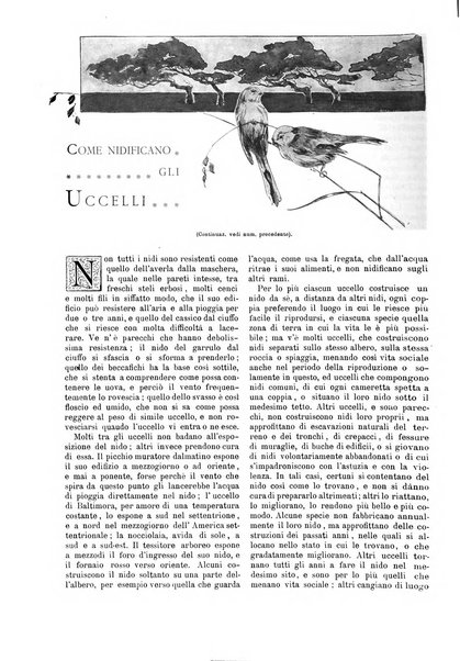 Natura ed arte rivista illustrata quindicinale italiana e straniera di scienze, lettere ed arti