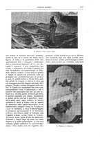 giornale/TO00189526/1901/unico/00000579