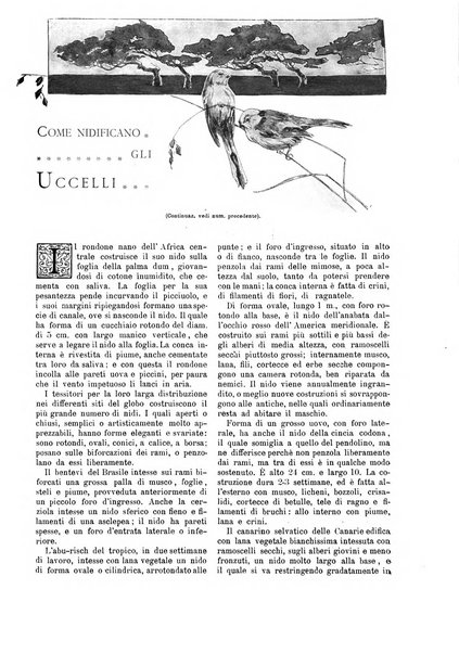 Natura ed arte rivista illustrata quindicinale italiana e straniera di scienze, lettere ed arti