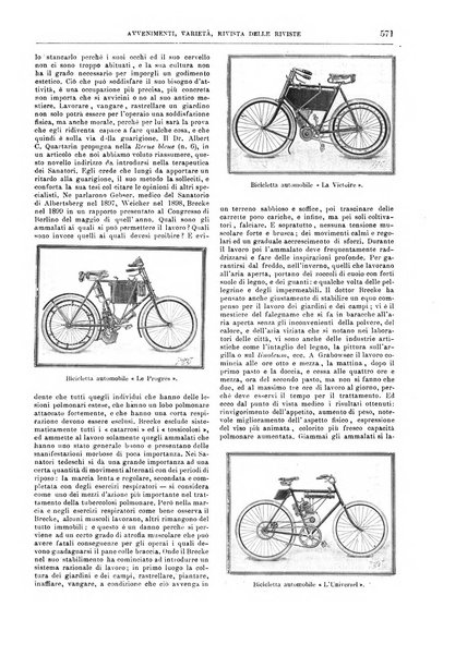 Natura ed arte rivista illustrata quindicinale italiana e straniera di scienze, lettere ed arti