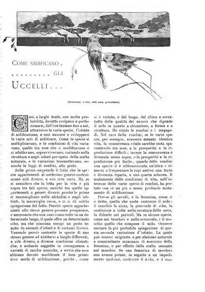 Natura ed arte rivista illustrata quindicinale italiana e straniera di scienze, lettere ed arti