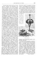 giornale/TO00189526/1901/unico/00000705