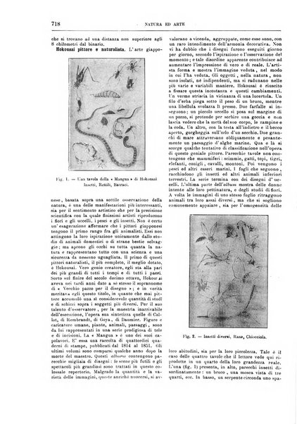 Natura ed arte rivista illustrata quindicinale italiana e straniera di scienze, lettere ed arti