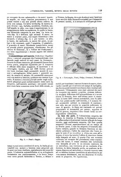 Natura ed arte rivista illustrata quindicinale italiana e straniera di scienze, lettere ed arti