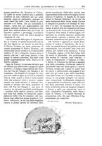 giornale/TO00189526/1901/unico/00000927