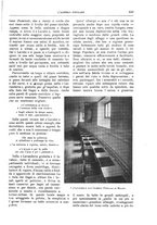 giornale/TO00189526/1901/unico/00000943