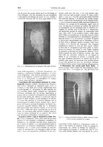 Natura ed arte rivista illustrata quindicinale italiana e straniera di scienze, lettere ed arti