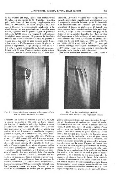 Natura ed arte rivista illustrata quindicinale italiana e straniera di scienze, lettere ed arti