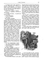 giornale/TO00189526/1902/unico/00000025