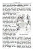 giornale/TO00189526/1902/unico/00000053