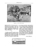 giornale/TO00189526/1902/unico/00000066