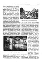 giornale/TO00189526/1902/unico/00000243