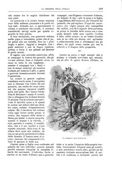 Natura ed arte rivista illustrata quindicinale italiana e straniera di scienze, lettere ed arti