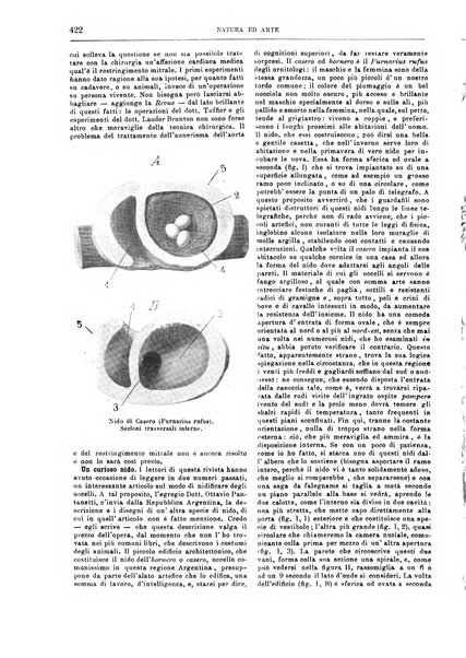 Natura ed arte rivista illustrata quindicinale italiana e straniera di scienze, lettere ed arti