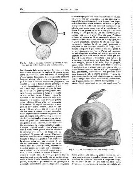 Natura ed arte rivista illustrata quindicinale italiana e straniera di scienze, lettere ed arti