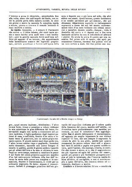 Natura ed arte rivista illustrata quindicinale italiana e straniera di scienze, lettere ed arti