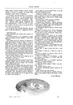 giornale/TO00189526/1902/unico/00000517