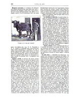 giornale/TO00189526/1902/unico/00000560