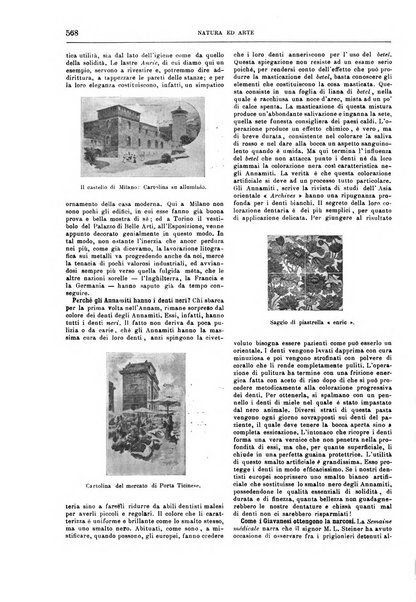 Natura ed arte rivista illustrata quindicinale italiana e straniera di scienze, lettere ed arti