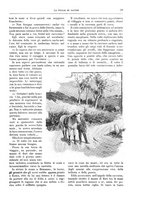 giornale/TO00189526/1903-1904/unico/00000045